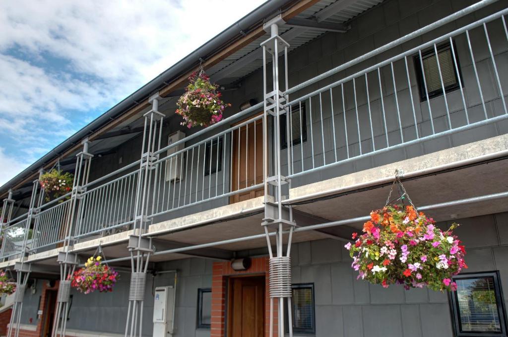 Country Glen Lodge Christchurch Buitenkant foto