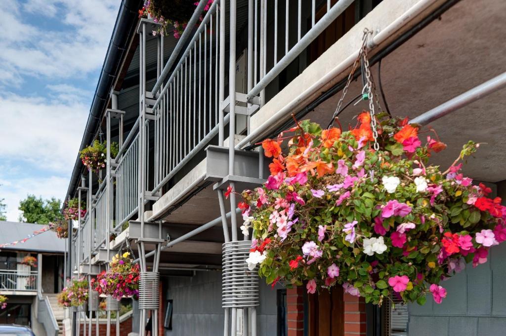 Country Glen Lodge Christchurch Buitenkant foto